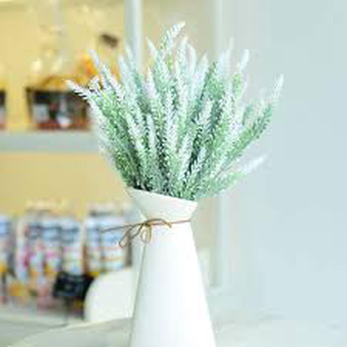 Provence Lavender White Flower Seeds for Planting | Heirloom Non-GMO Organic Garden Seeds, High Germination