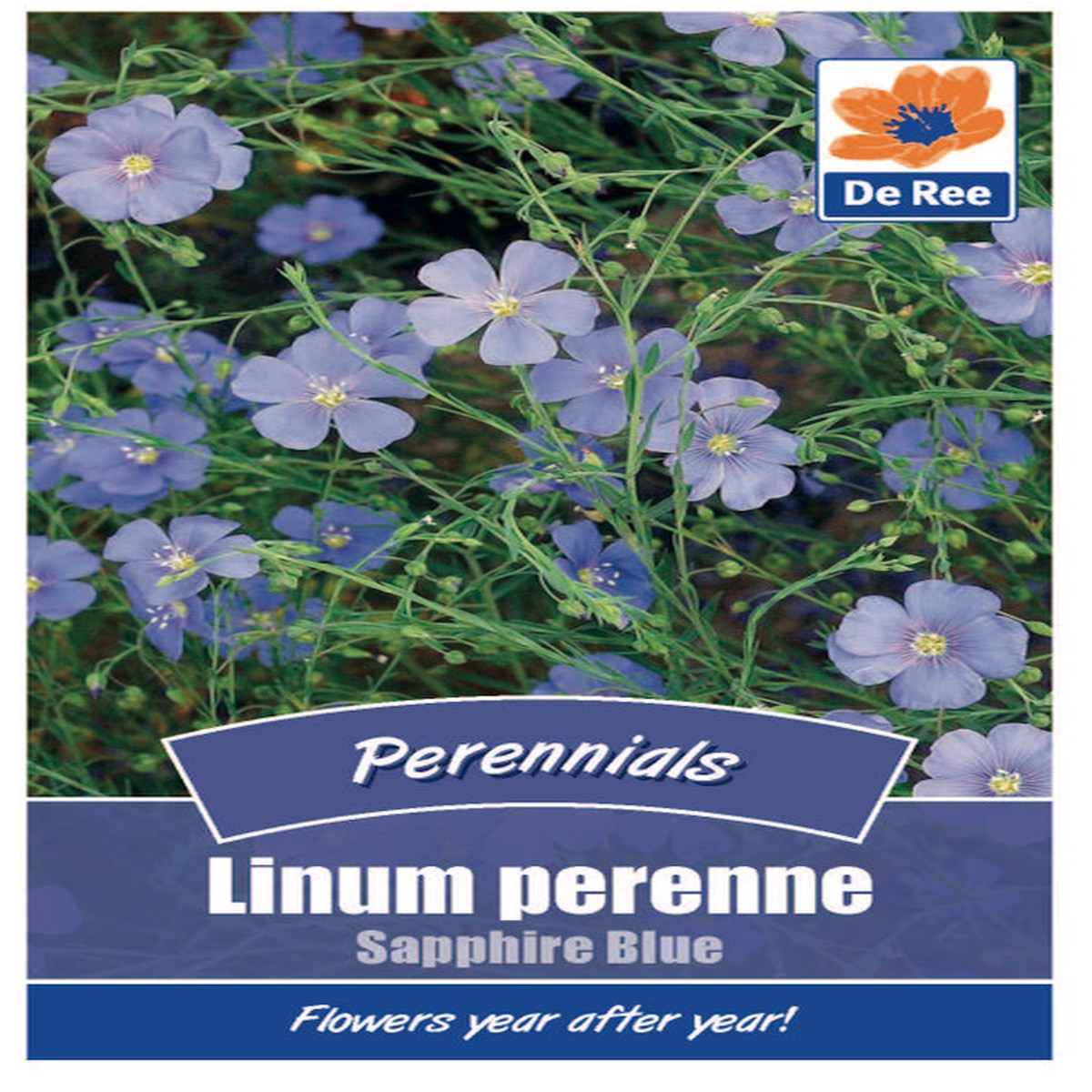 Linum Perenne Sapphire Blue Seeds