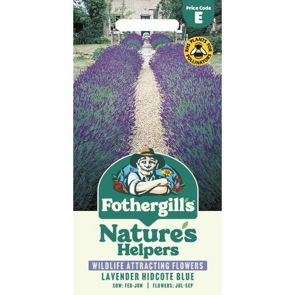 Lavender Hidcote Blue Seeds