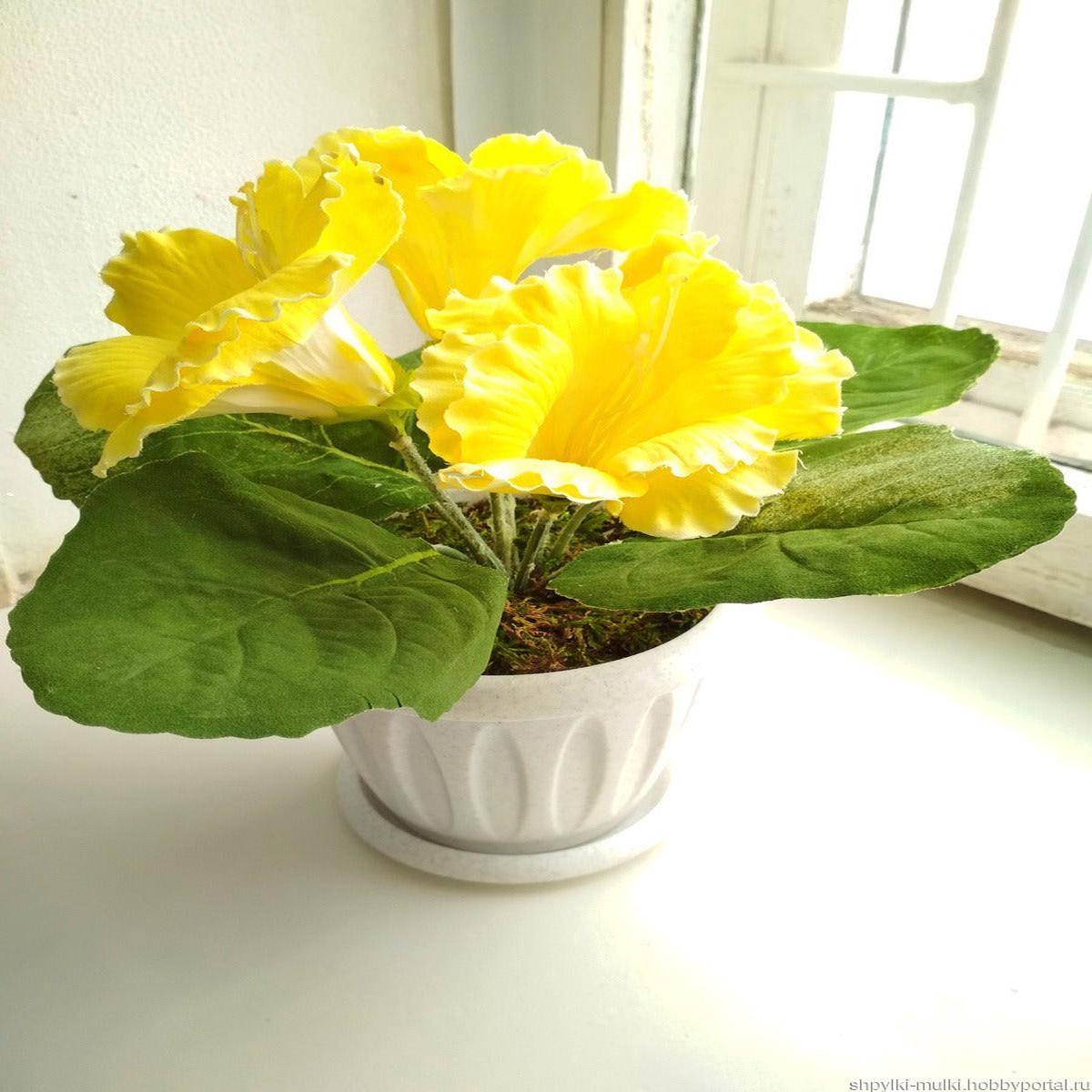 Light Yellow Gloxinia Flower Seeds  Cut Flower Favorite, Heirloom & Non-GMO for Home Garden