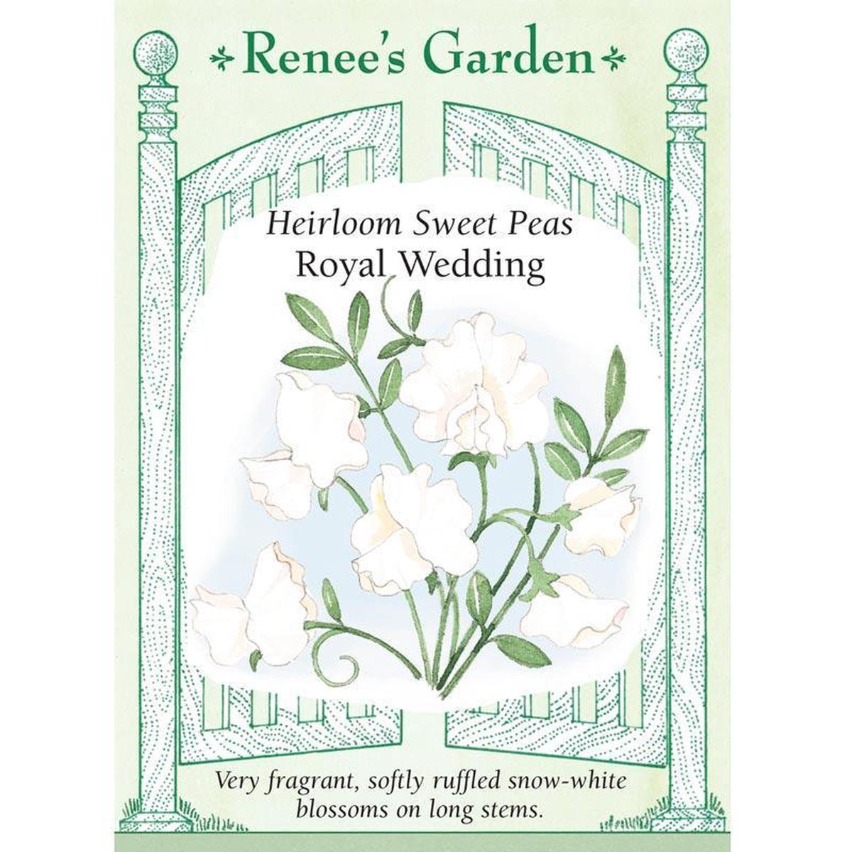 Royal Wedding Sweet Pea Flower Seeds