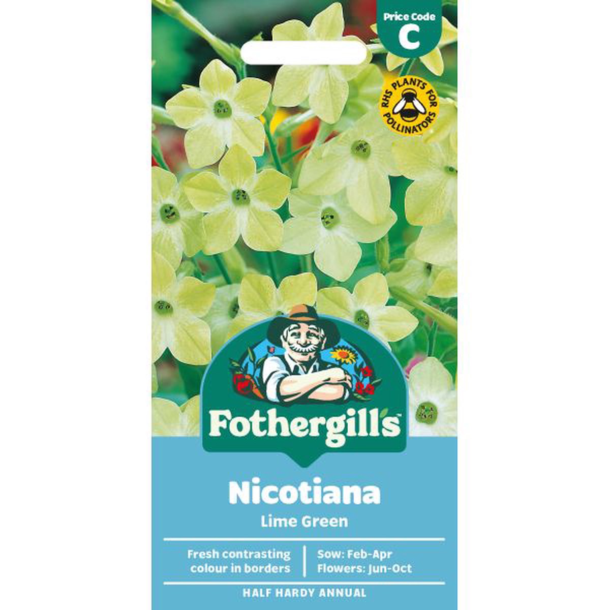 Nicotiana Lime Green Seeds