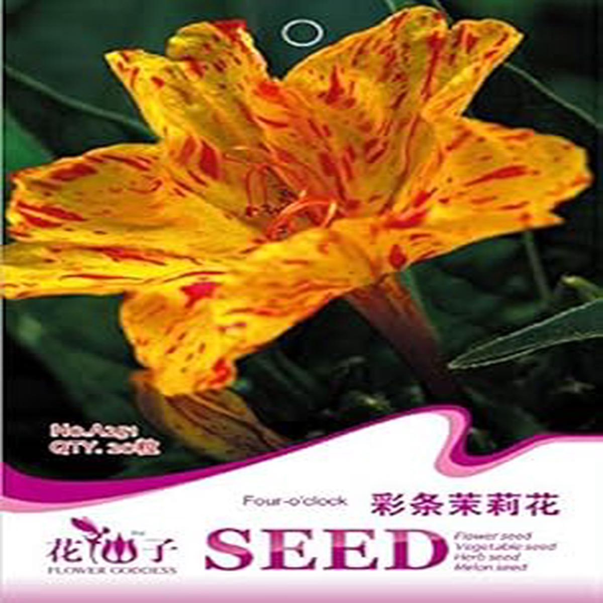 Yellow Red Four O'Clock Flower seeds for Planting - Wildflower Mix, Heirloom & GMO Free Seeds for Home Garden