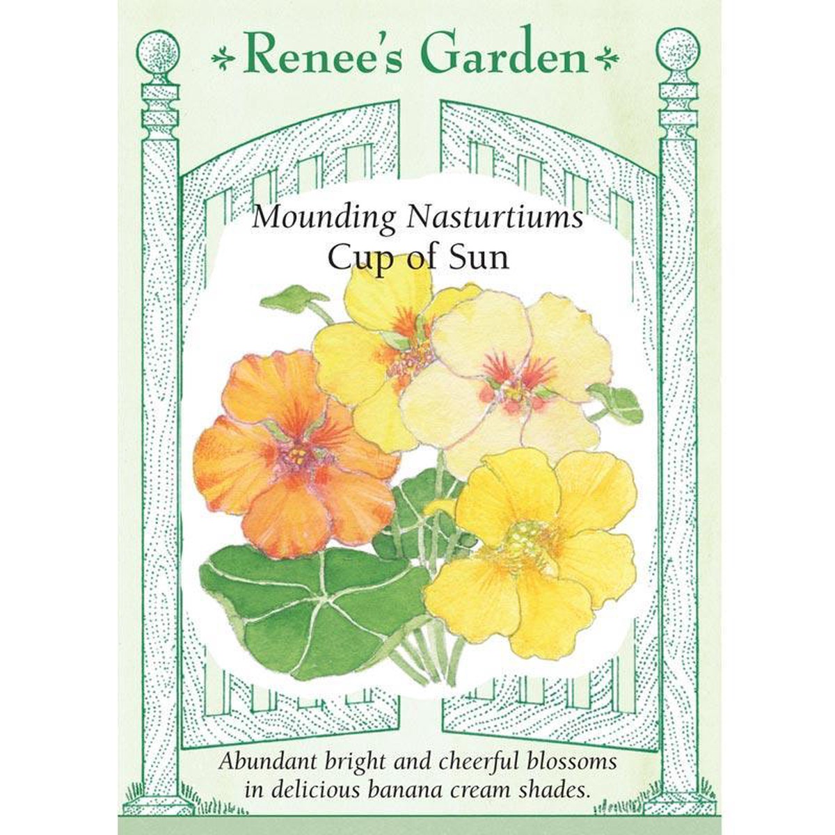 Cup of Sun Mounding Nasturtium Flower Seeds