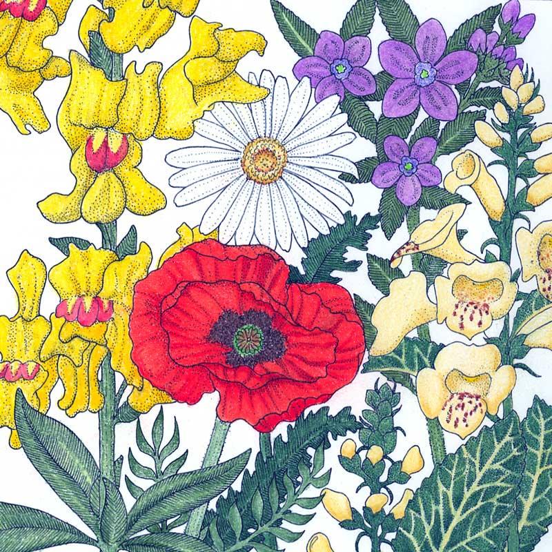 North American Shade Wildflower Mix (1/4 lb)