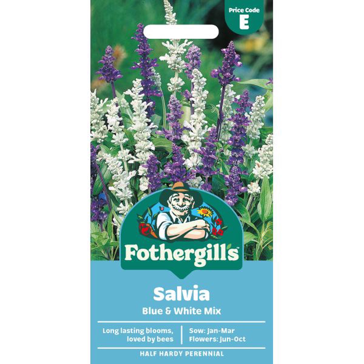 Salvia Blue & White Mixed
