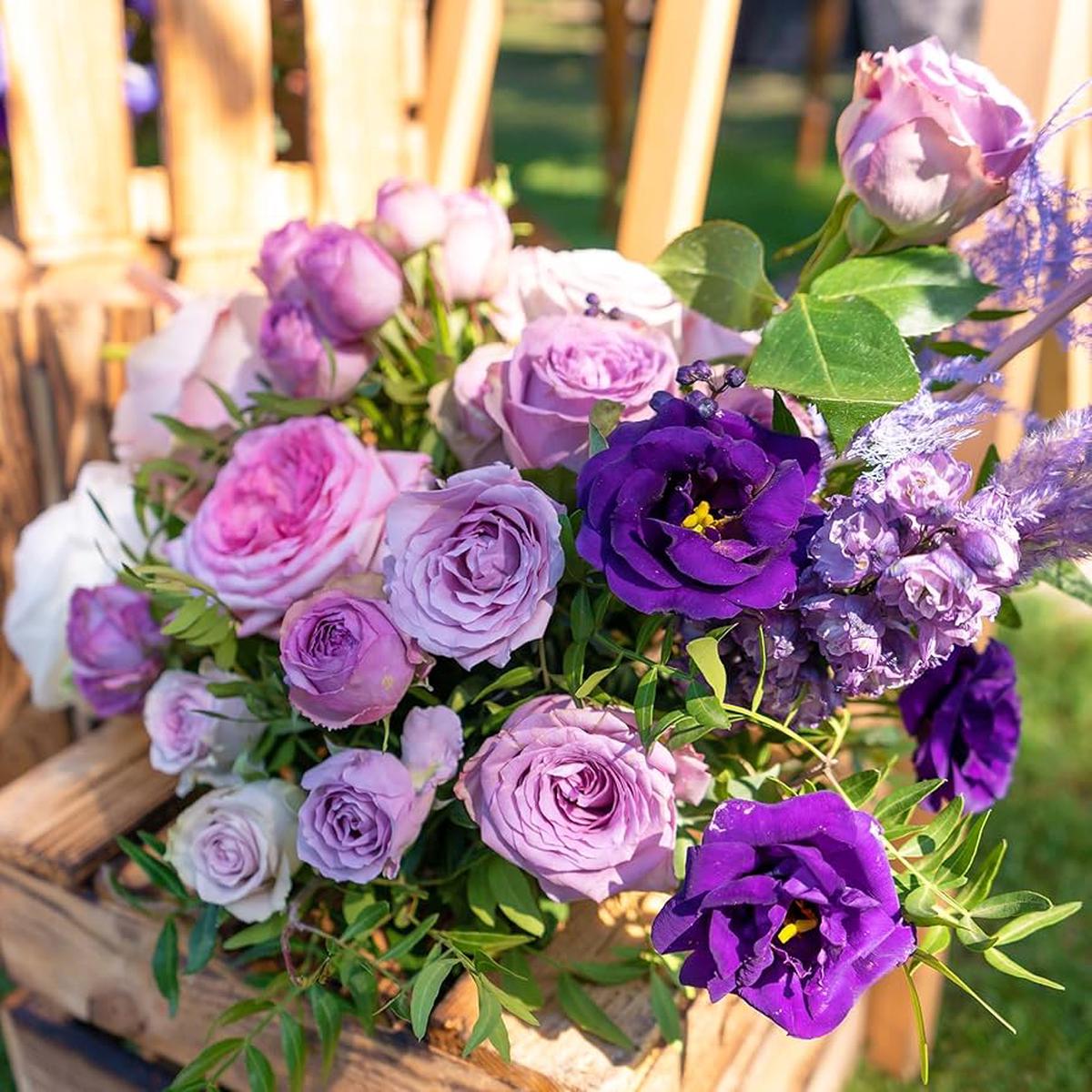 Lisianthus Eustoma Grandiflorum Sapphire Mix Flower Seeds for Planting  Elegant Blooms for Garden Beds and Bouquets