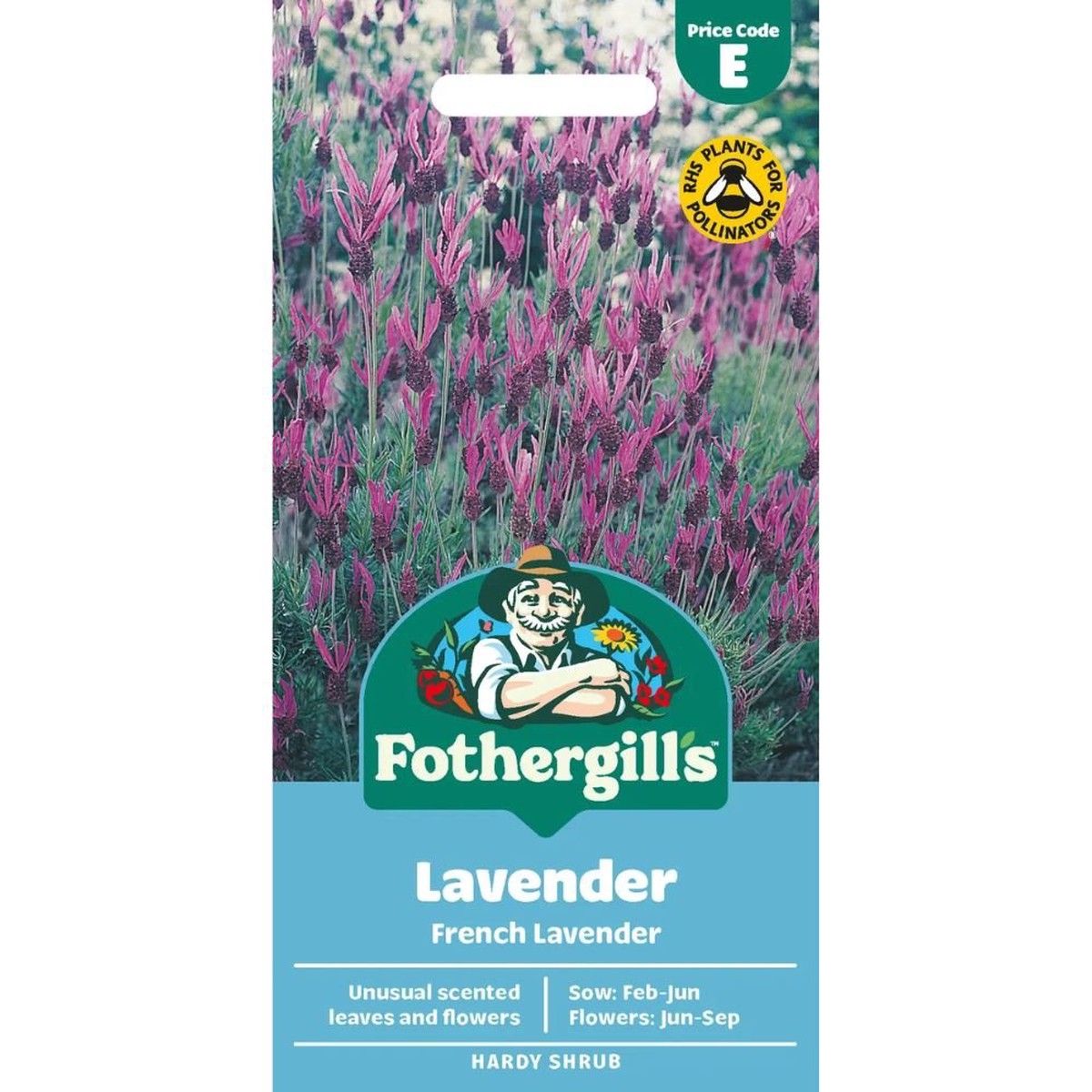 Mr Fothergill's Lavender French Lavender Seeds