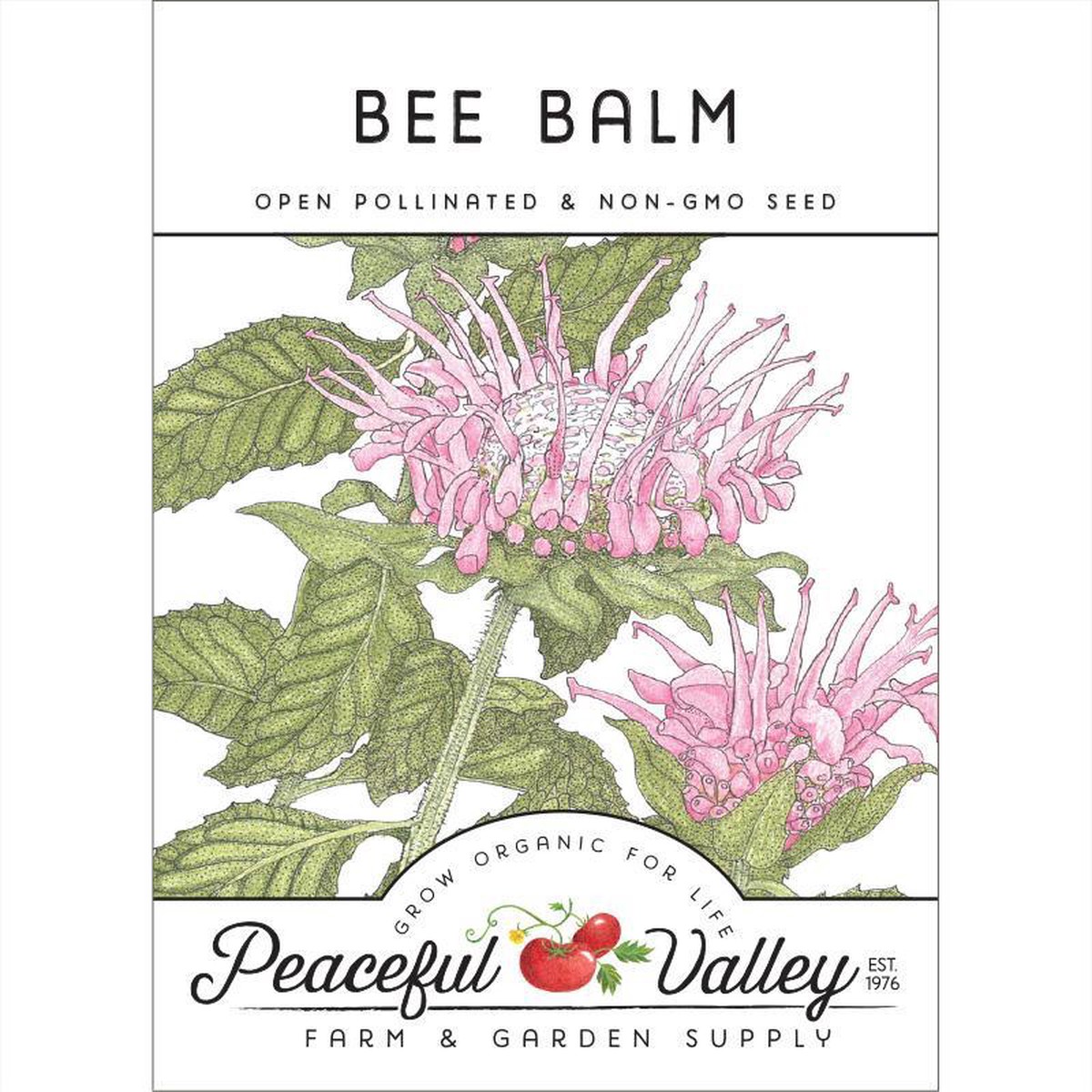 Bee Balm