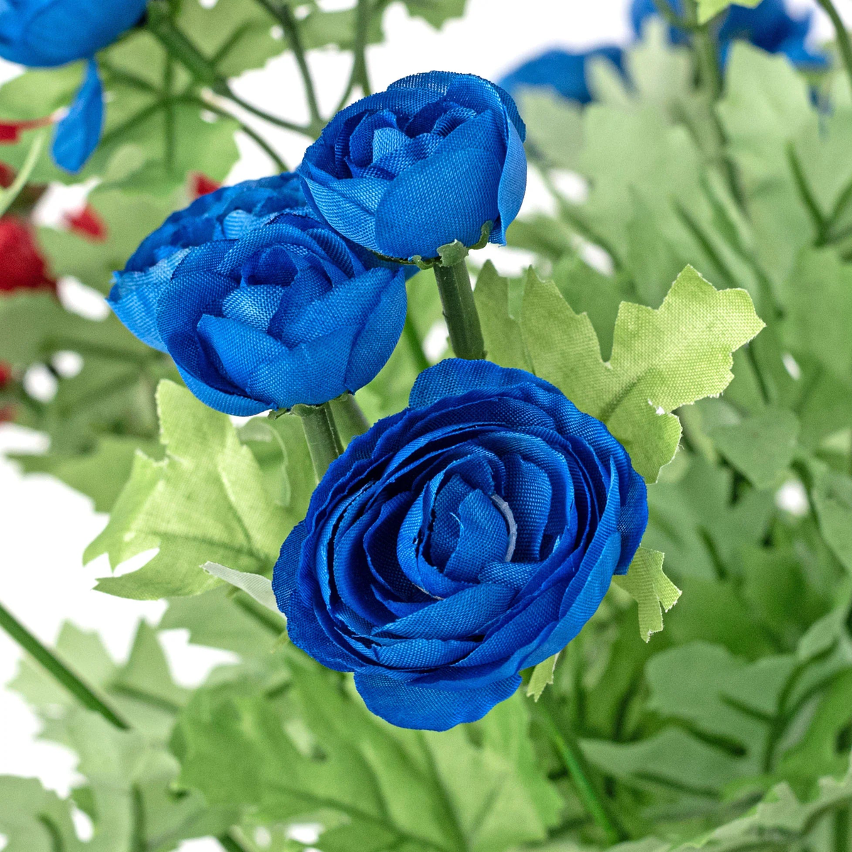 Blue Ranunculus Flower seeds for Planting - Cottage Garden Essential, Heirloom & GMO Free Seeds for Home Garden