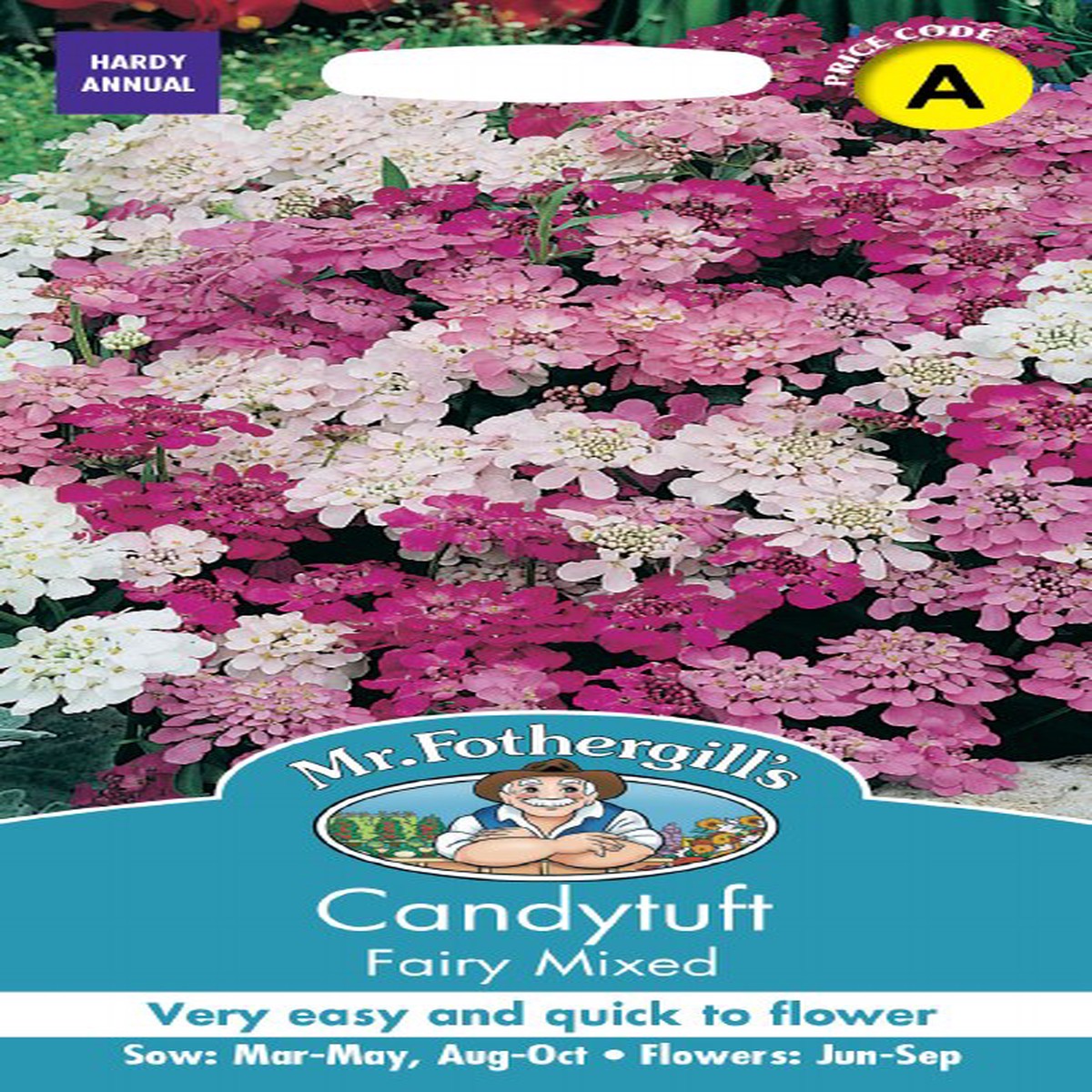 Candytuft Fairy Mix