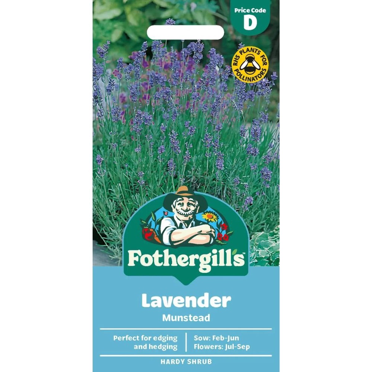 Mr Fothergills Lavender Munstead Strain Seeds