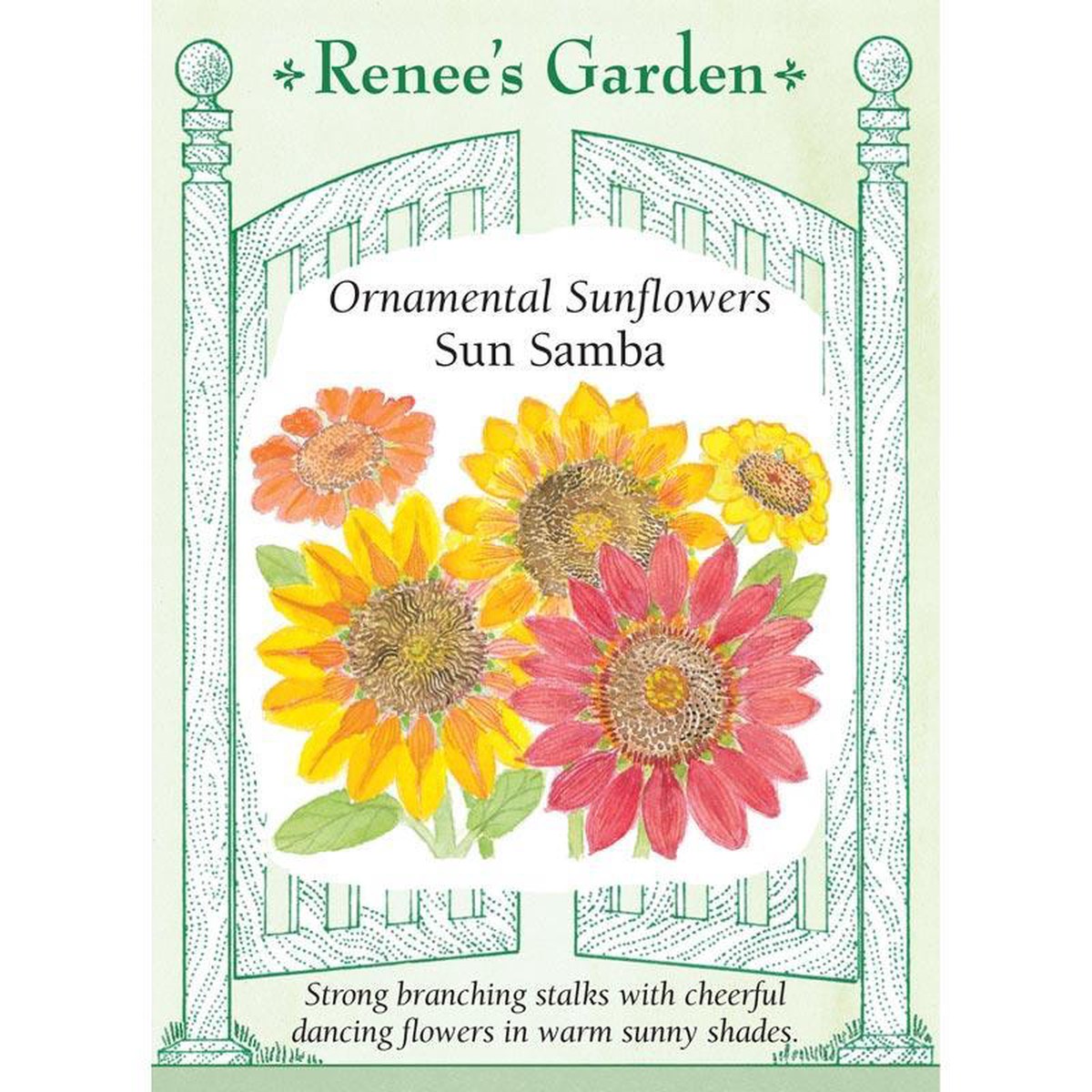 Sun Samba Ornamental Sunflower Flower Seeds
