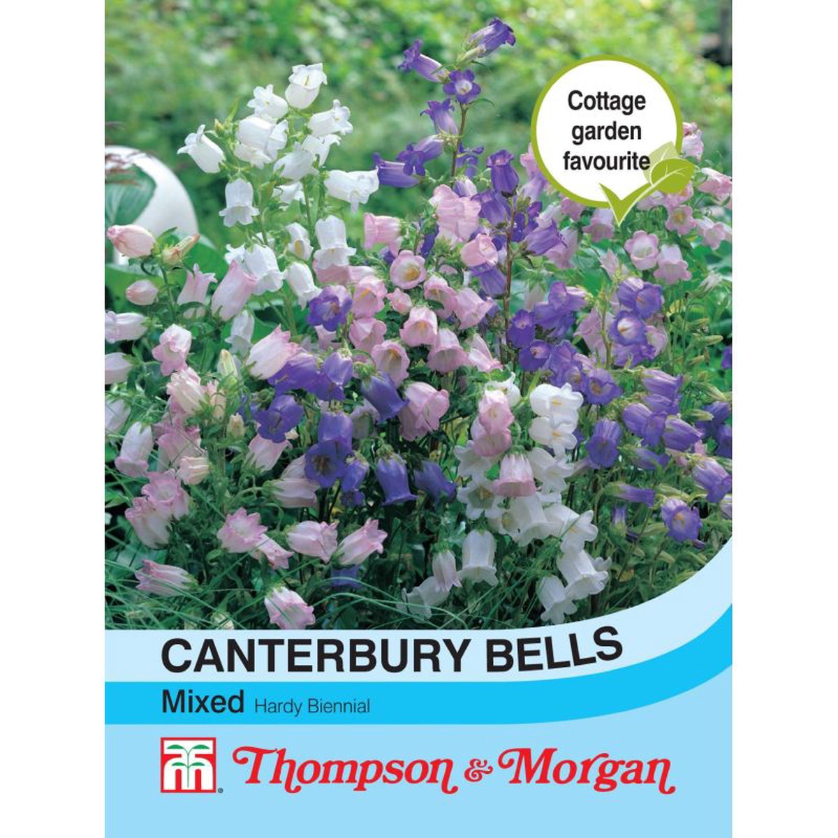 Canterbury 'Bells Mix'