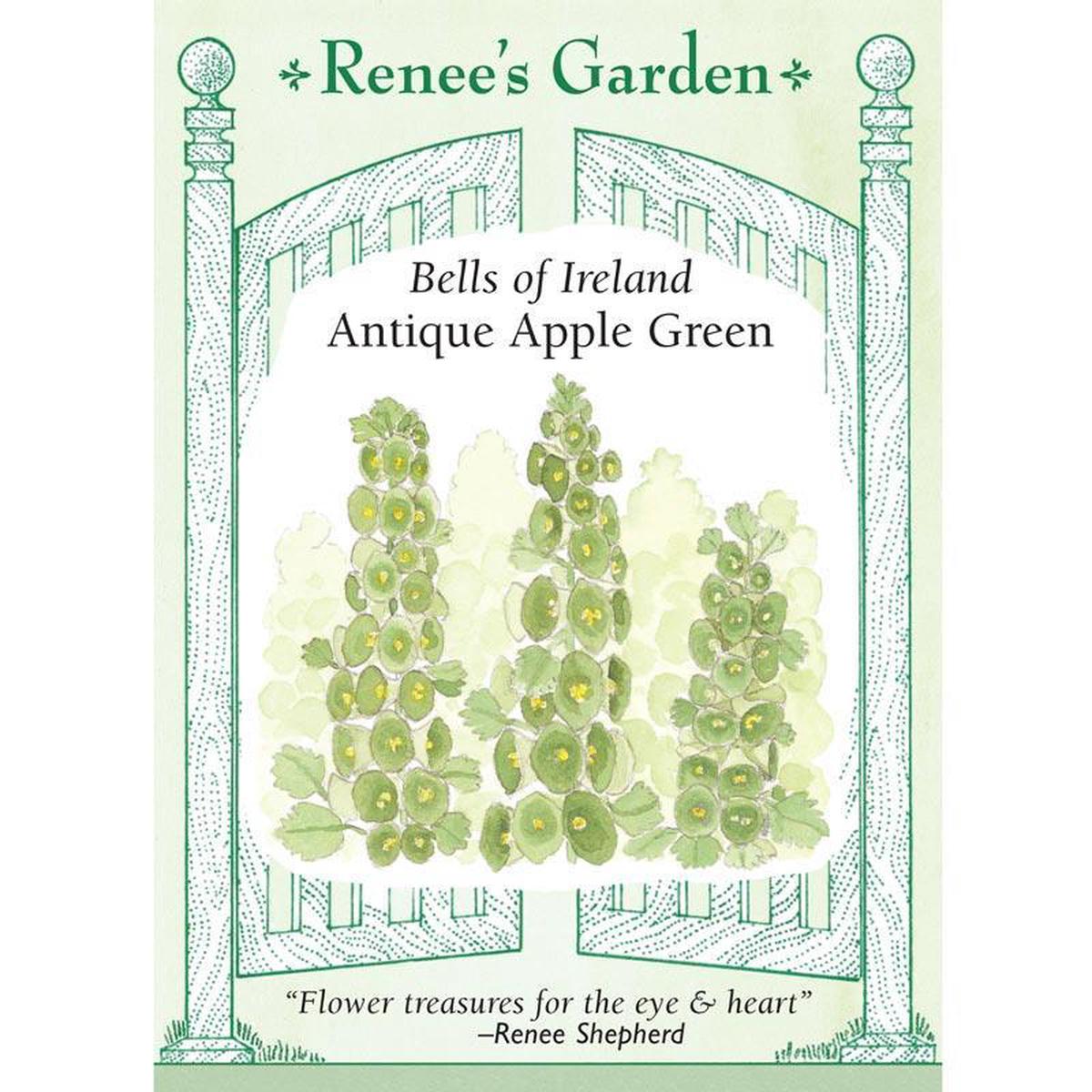 Apple Green Antique Bells Of Ireland Flower Seeds