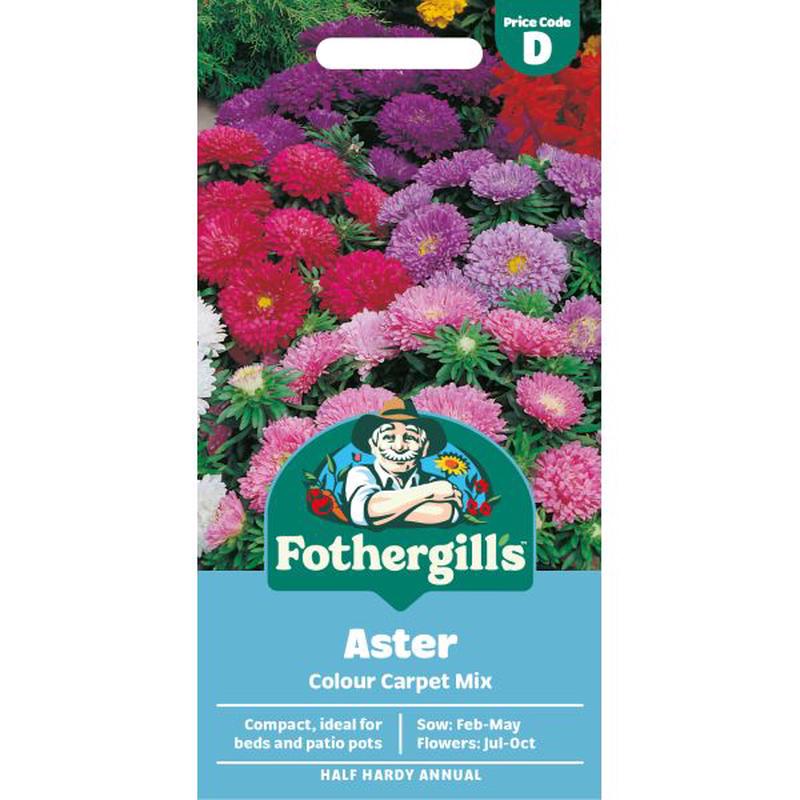 Aquilegia Petticoat Pink