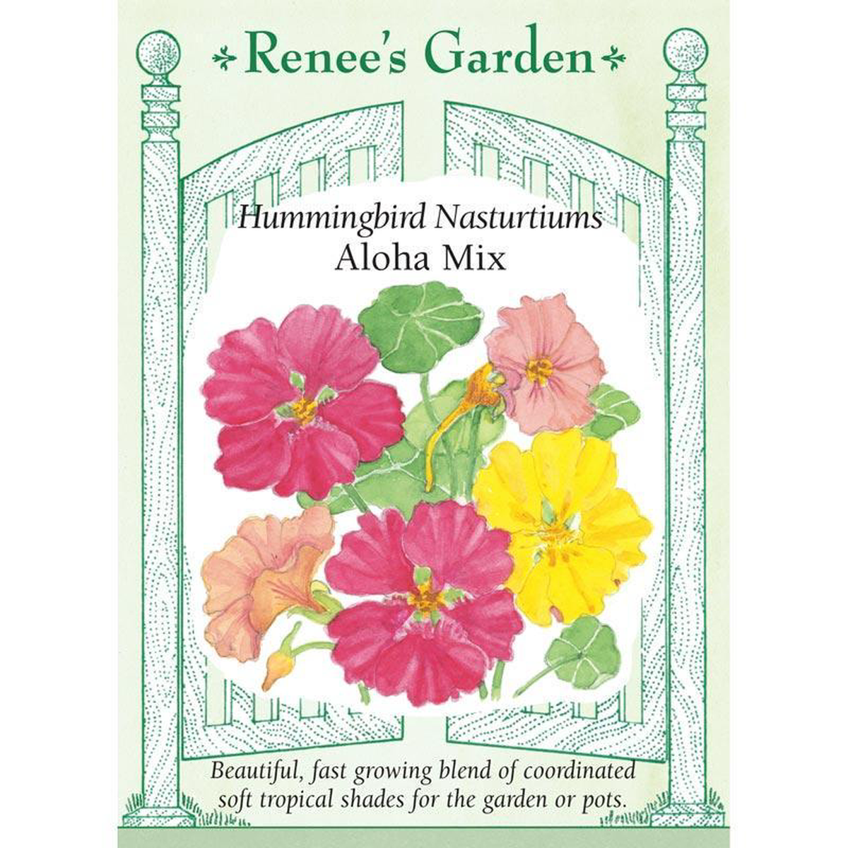 Aloha Hummingbird Nasturtium Flower Seed Mix
