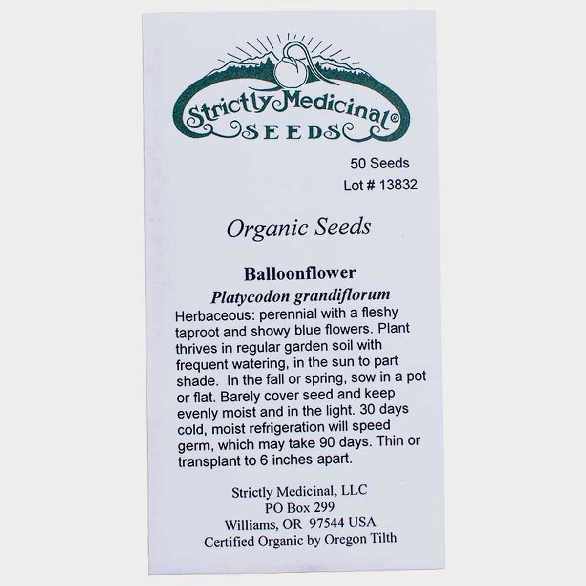 Balloonflower Seeds (Organic)