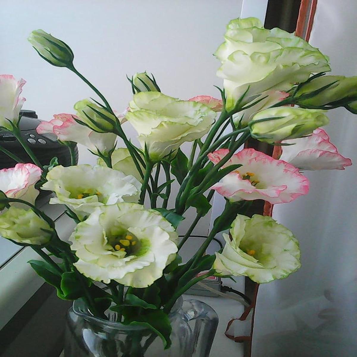 Yellow Lisianthus Flower Seeds for Planting  Heirloom Non-GMO, High Germination Organic Garden Seeds, Long-Lasting Blooms