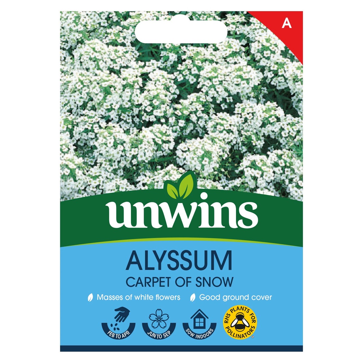 Alyssum Carpet Of Snow