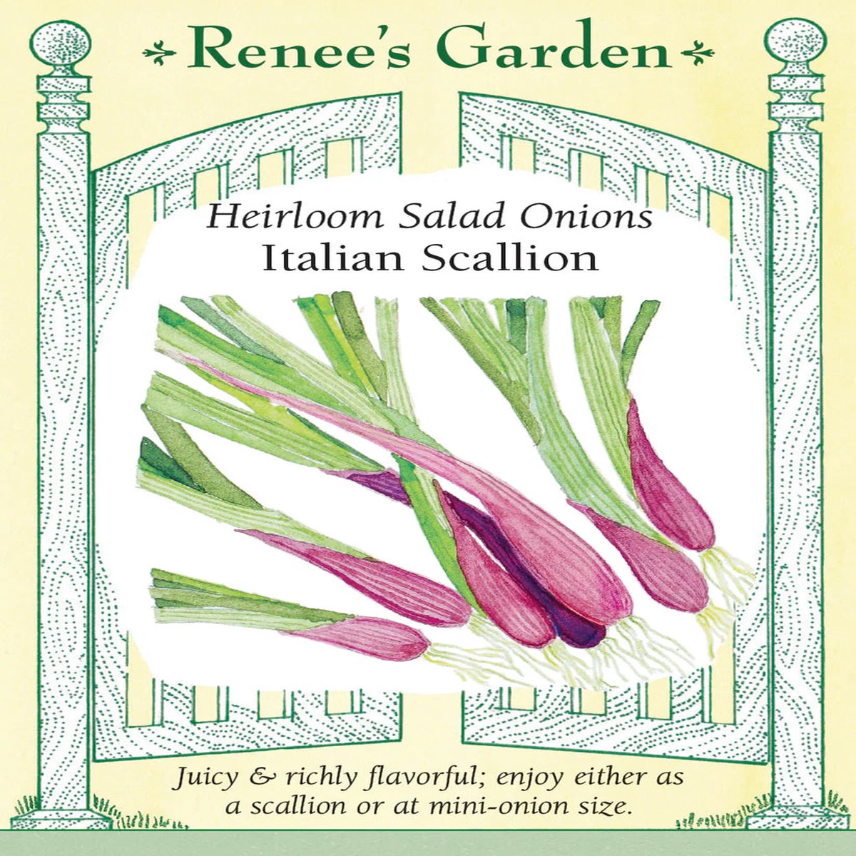 Onions - Italian Scallions