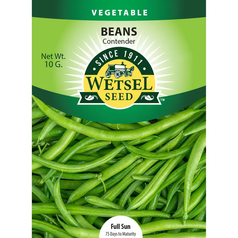 Wetsel Seed Contender Stringless Bean Seed