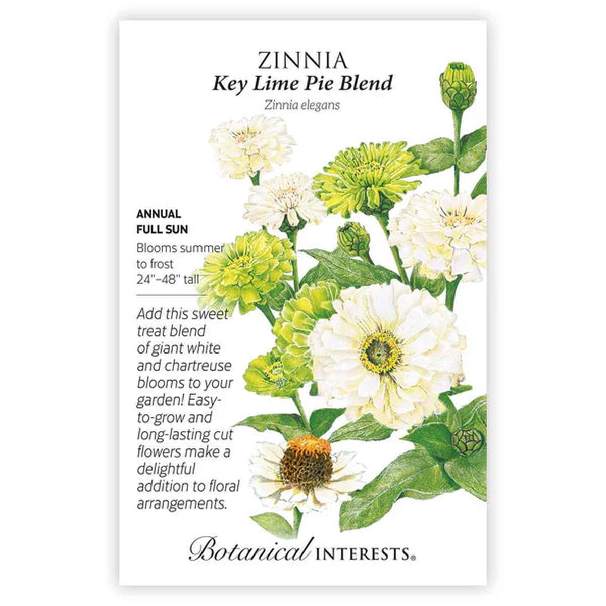 Zinnia seeds 'Key Lime Pie Mix'