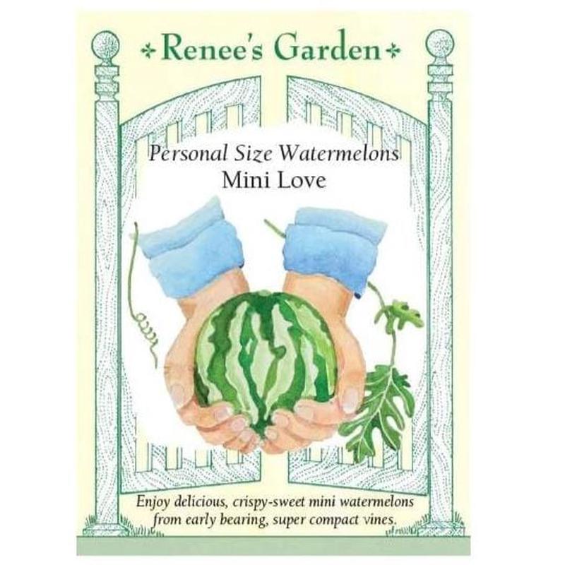 Watermelon Mini Love - Renee's Garden