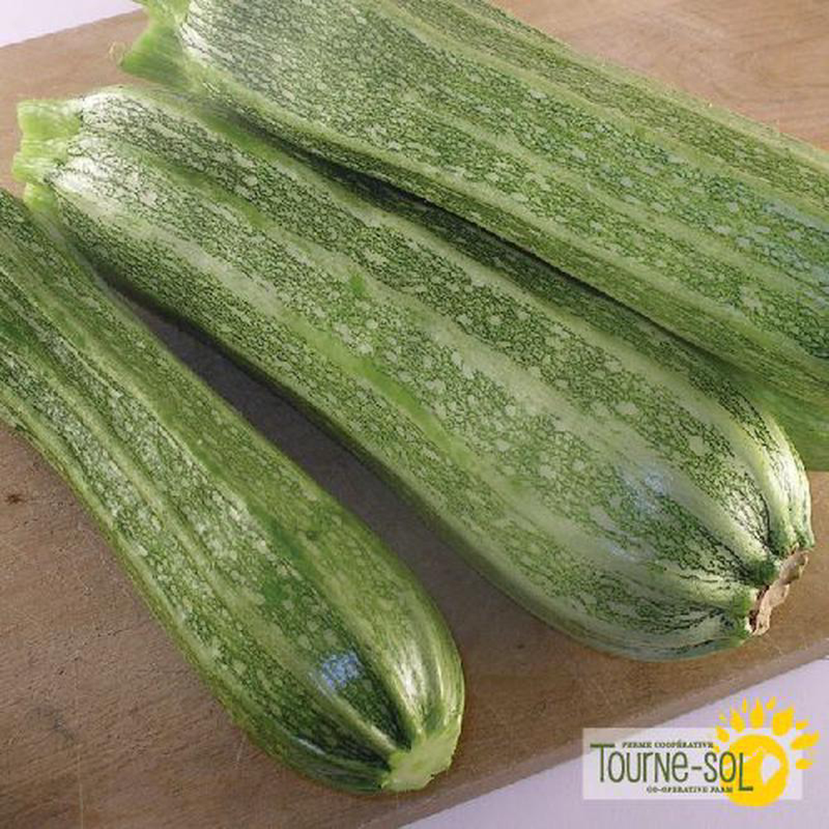 Zucchini Costata Romanesca Zucchini Seeds Organic