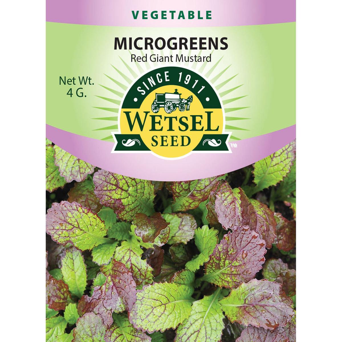 Wetsel Seed Microgreens Red Giant Mustard Seed