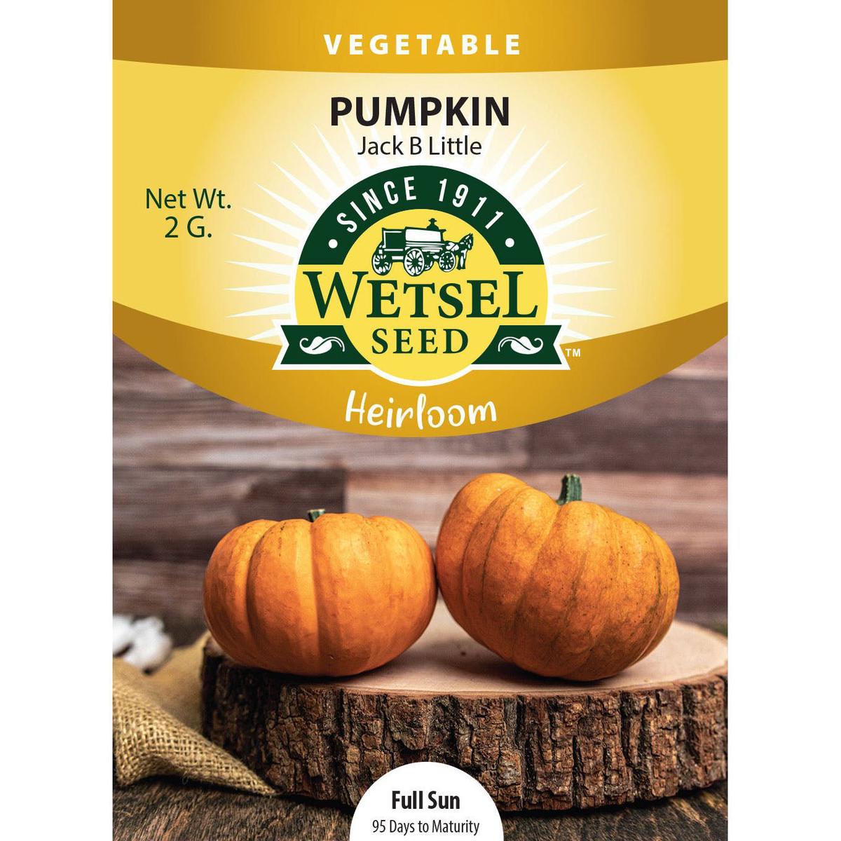 Wetsel Seed Heirloom Pumpkin Jack B Little Seed