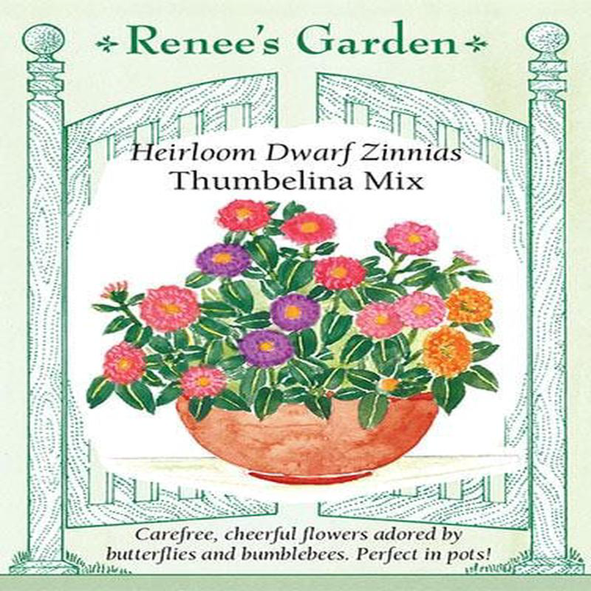 Zinnia Thumbelina Mix 8211 Renee8217s Garden