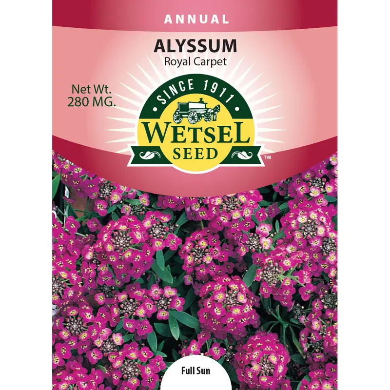 Wetsel Seed Royal Carpet Alyssum Seed