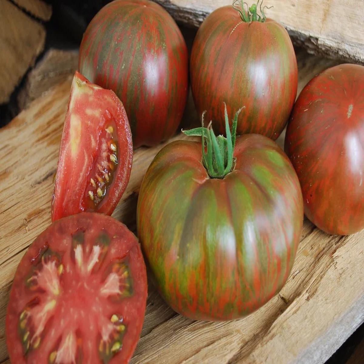Tomatoes - Pink Berkeley Tie Dye