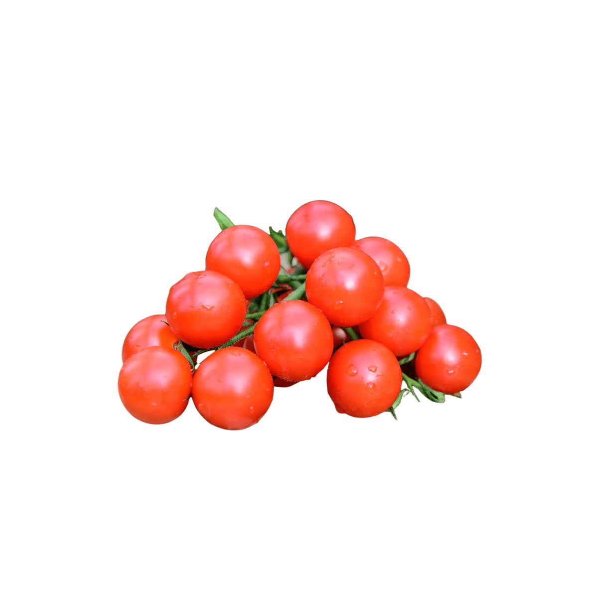 Tomatoes Red Robin | West Coast Seeds