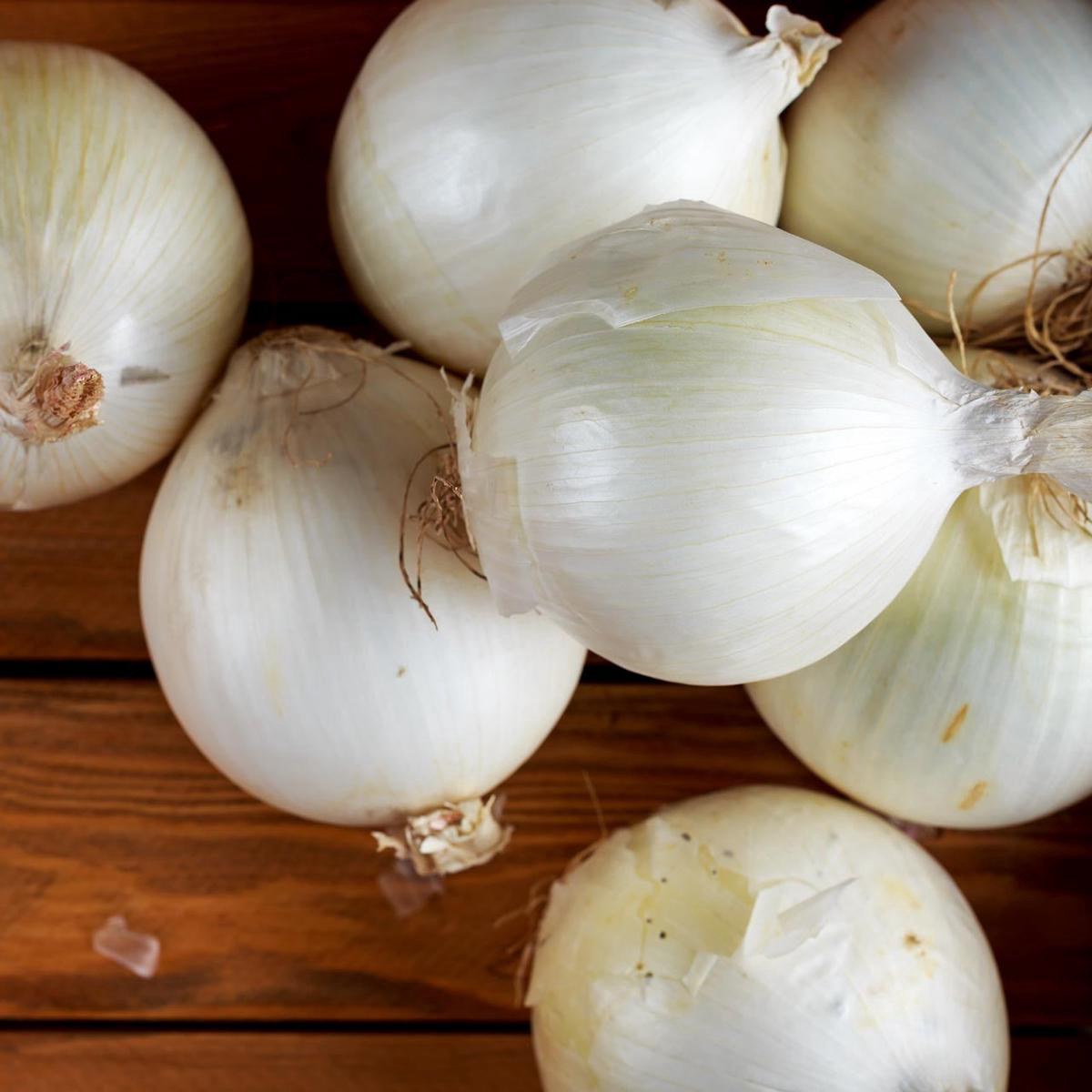 White Sweet Spanish Onion Plants Feb-May Delivery