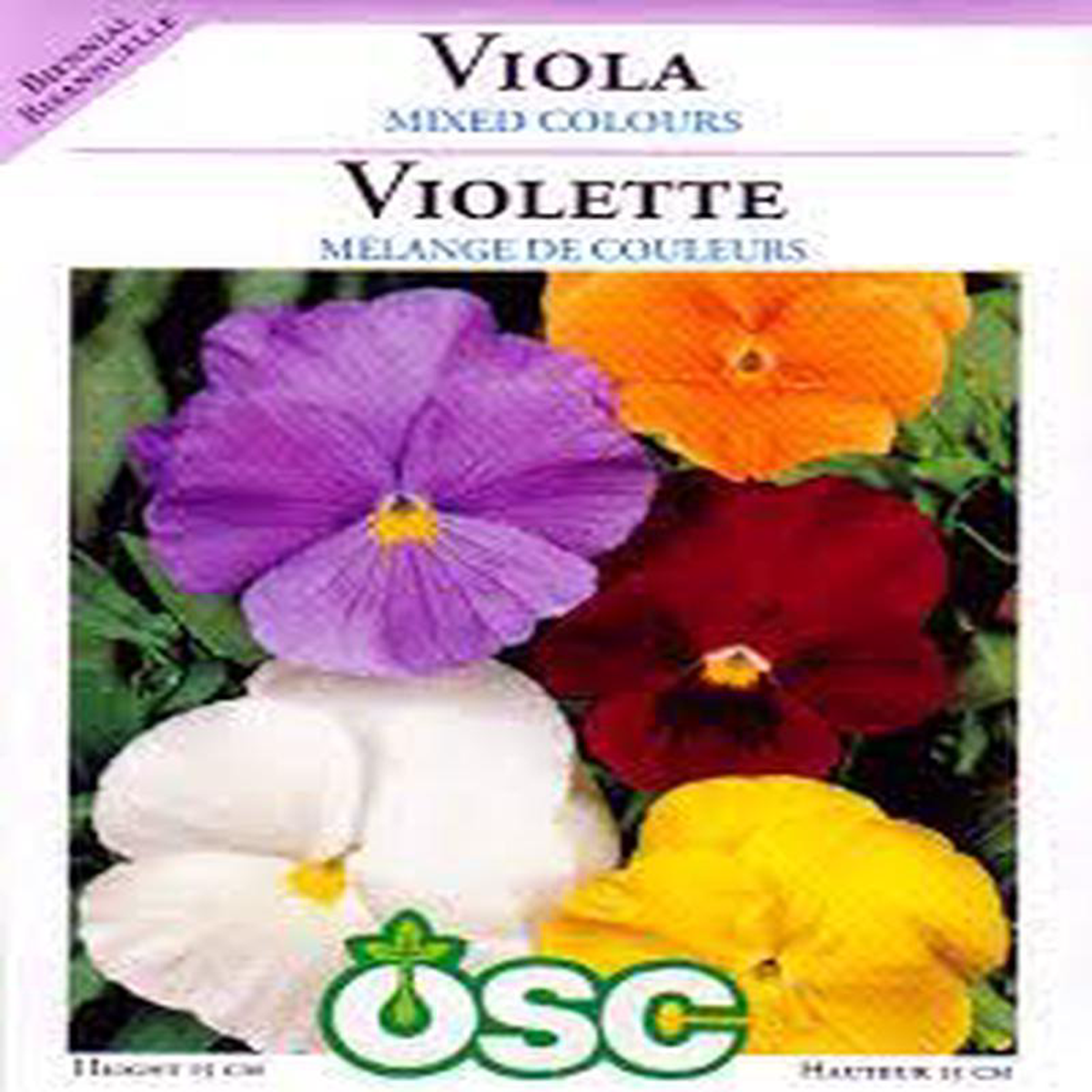 Viola Seed Packets  Mixed Colours