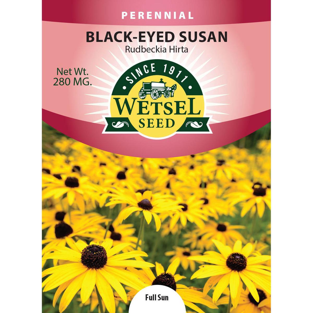 Wetsel Seed Rudbeckia Hirta Black Eyed Susan Seed