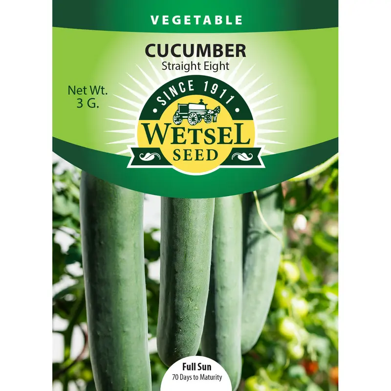 Wetsel Seed Straight Eight Cucumber Seed