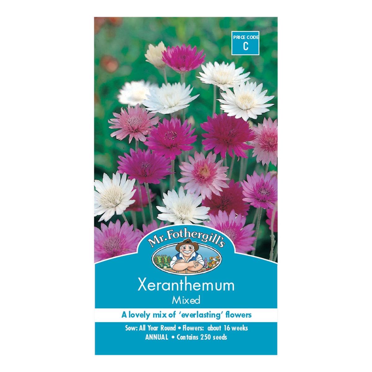 Xeranthemum 'Australian Strawflower' Mixed seeds