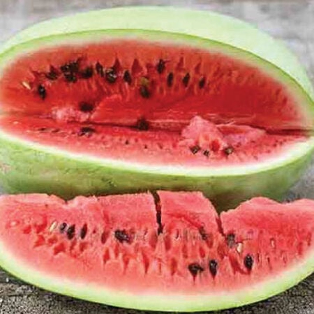 20 Seeds Charleston Grey Watermelon (Citrullus lanatus) Sweet, Juicy, Classic Summer Favorite
