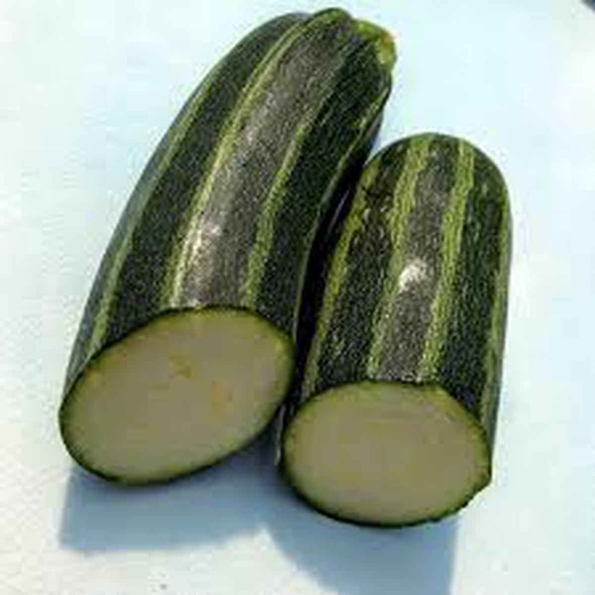 Zucchini Squash Seeds Cocozelle Variety Heirloom, Non-GMO, Italian Summer Squash, Easy to Grow