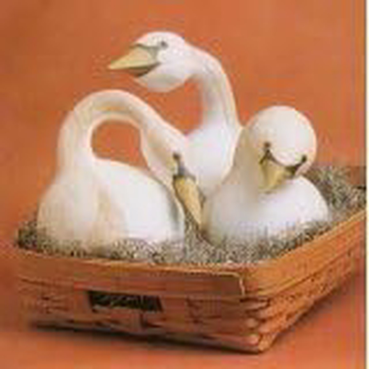 White Swan Gourd Vegetable Seeds for Planting Unique, Decorative Gourds, 100 pcs, Heirloom & Non-GMO, High Germination