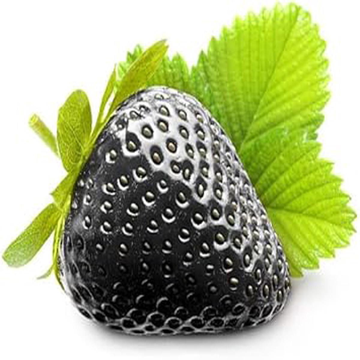 Black Strawberry Fruit Seeds for Planting Heirloom, Non-GMO, High Germination Organic Garden Seeds for Sweet, Flavorful Strawberries