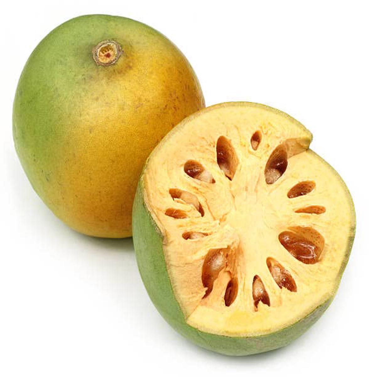 Yellow Aegle Marmelos Fruit Seeds Heirloom & Non-GMO Seeds for Aromatic Bael Fruits in Your Home Orchard