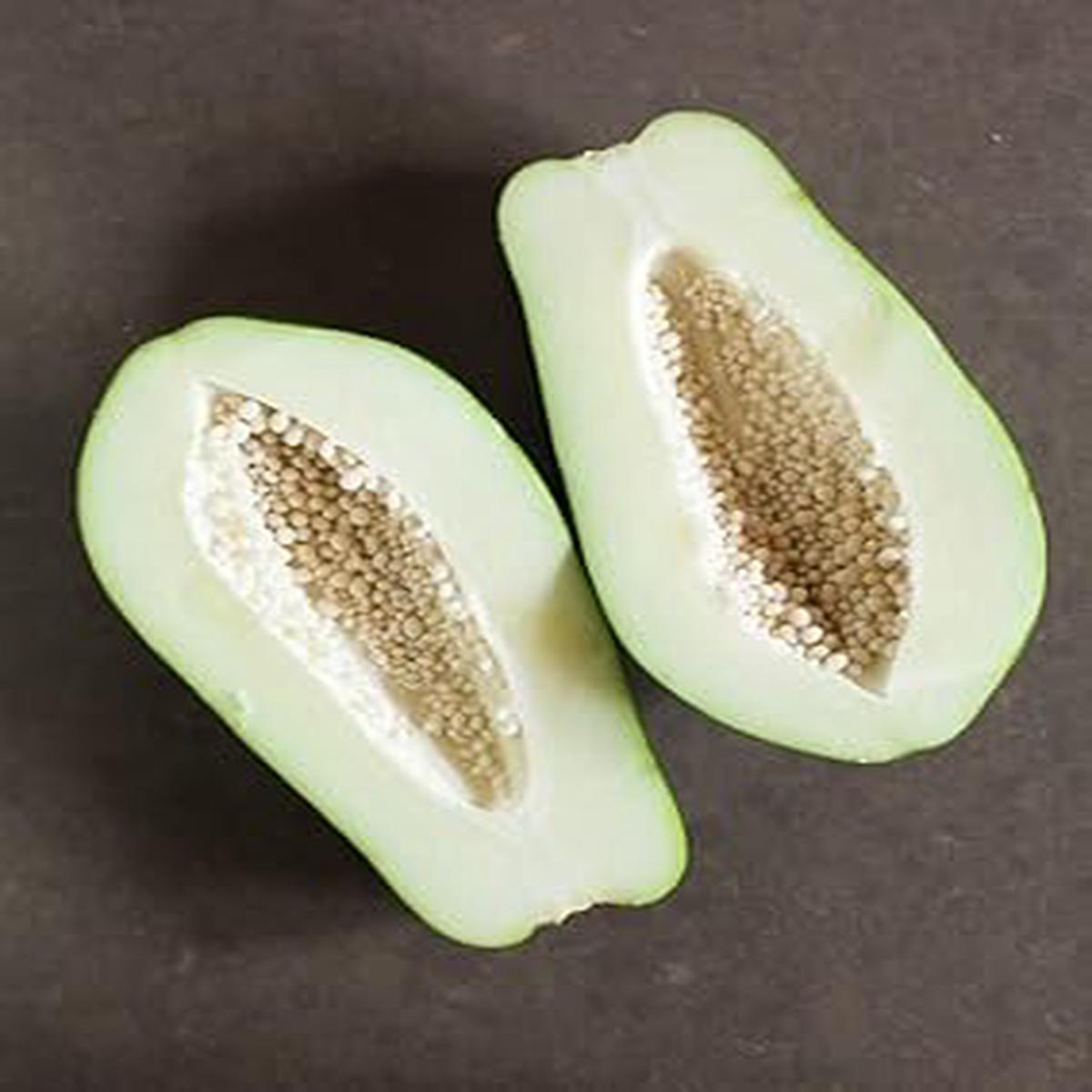 White Papaya Fruit Seeds for Planting Grow Tropical Trees, Heirloom & Non-GMO Seeds for Home Garden