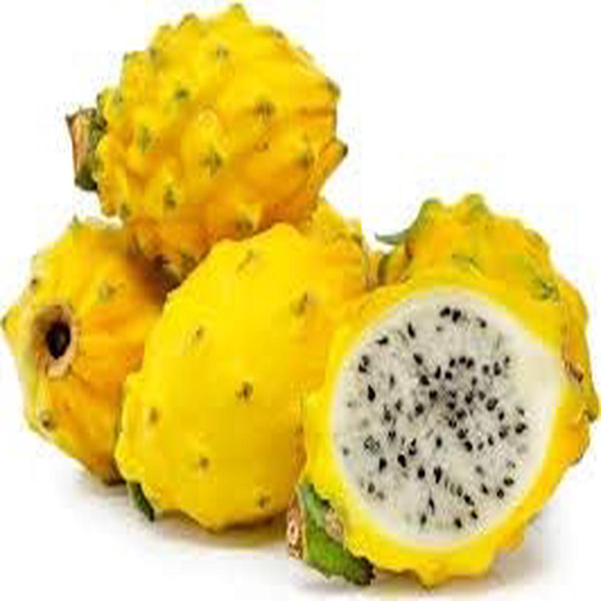 Yellow Pitaya Fruit Seeds for Planting  Heirloom, Non-GMO Seeds for Bright and Colorful Home Gardens
