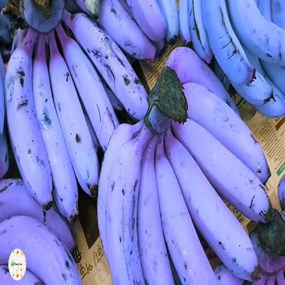 Banana Fruit Seeds for Planting  Violet Variety, Heirloom Non-GMO High Germination Organic Garden Seeds