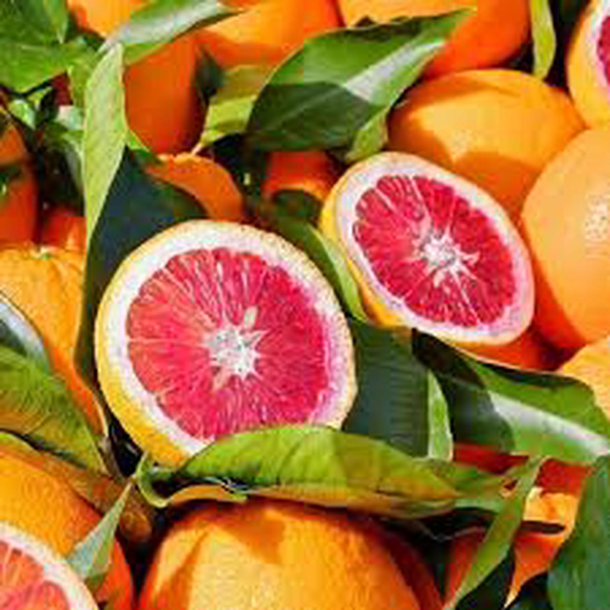 Blood Orange Fruit Seeds for Planting  Fast-Growing, Vitamin C Rich, Juicy Trees, Heirloom & Non-GMO Seeds