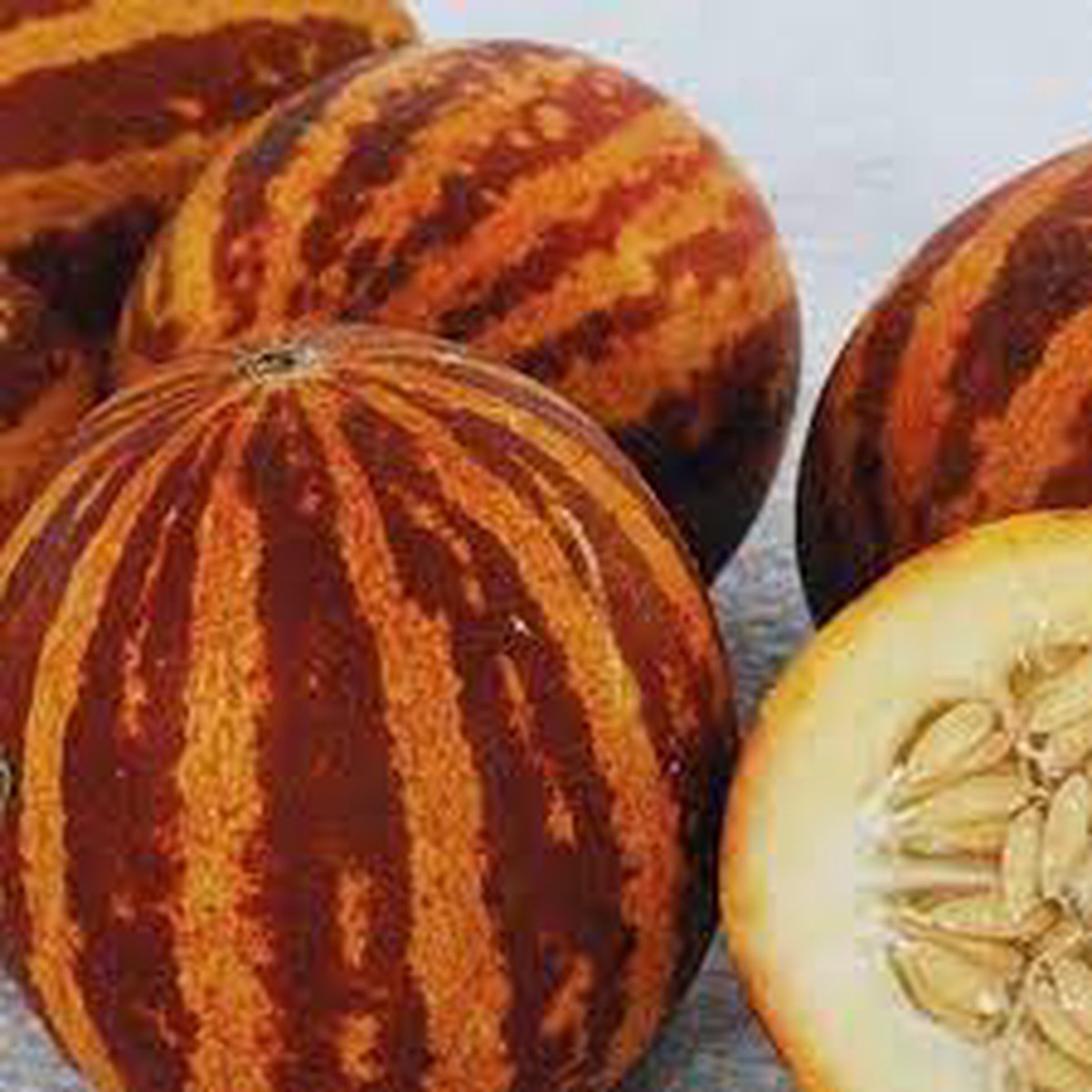 Breast Melon Plant Seeds for Planting  Sweet & Refreshing Fruits, Heirloom & Non-GMO Seeds for Home Garden
